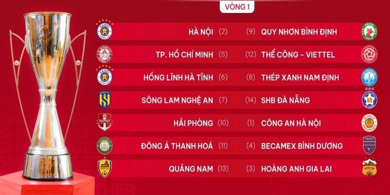 Lịch thi đấu các giải quốc nội Việt Nam